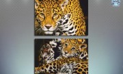 Леопард мама и малыш