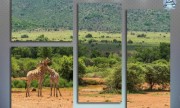 Африканский пейзаж. Жирафы
