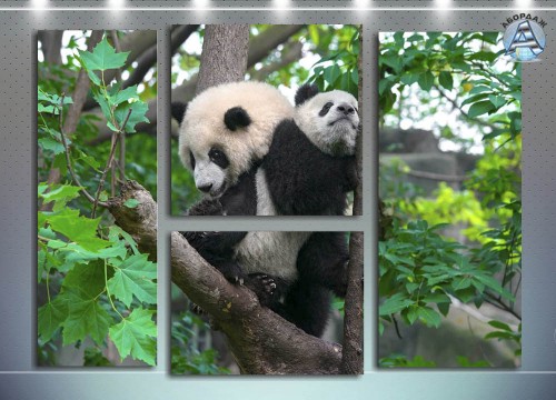Панда мама и малыш
