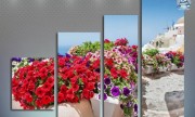 Цветы. Остров Санторини, Греция